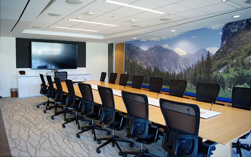 custom mural wall covering - guidance software