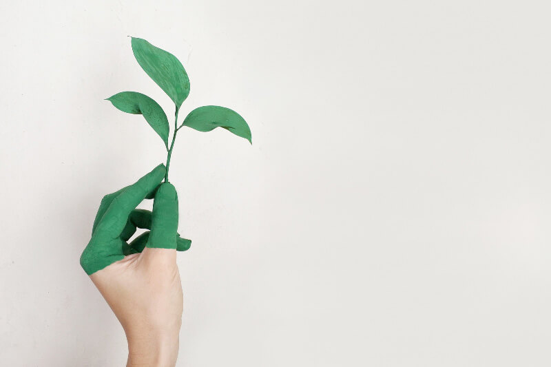 Go Green: How to Create an Eco-Friendly Office in 7 Steps
