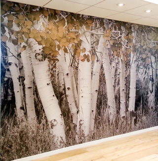 Image of 3D trees wall covering