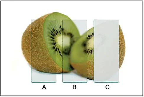 DIFFERENCE BETWEEN TRANSPARENT, TRANSLUCENT, AND OPAQUE